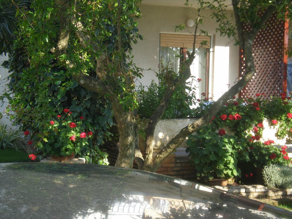 PUY Apartment Ms מראה חיצוני תמונה